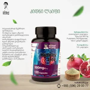კიდნი ლაიფი